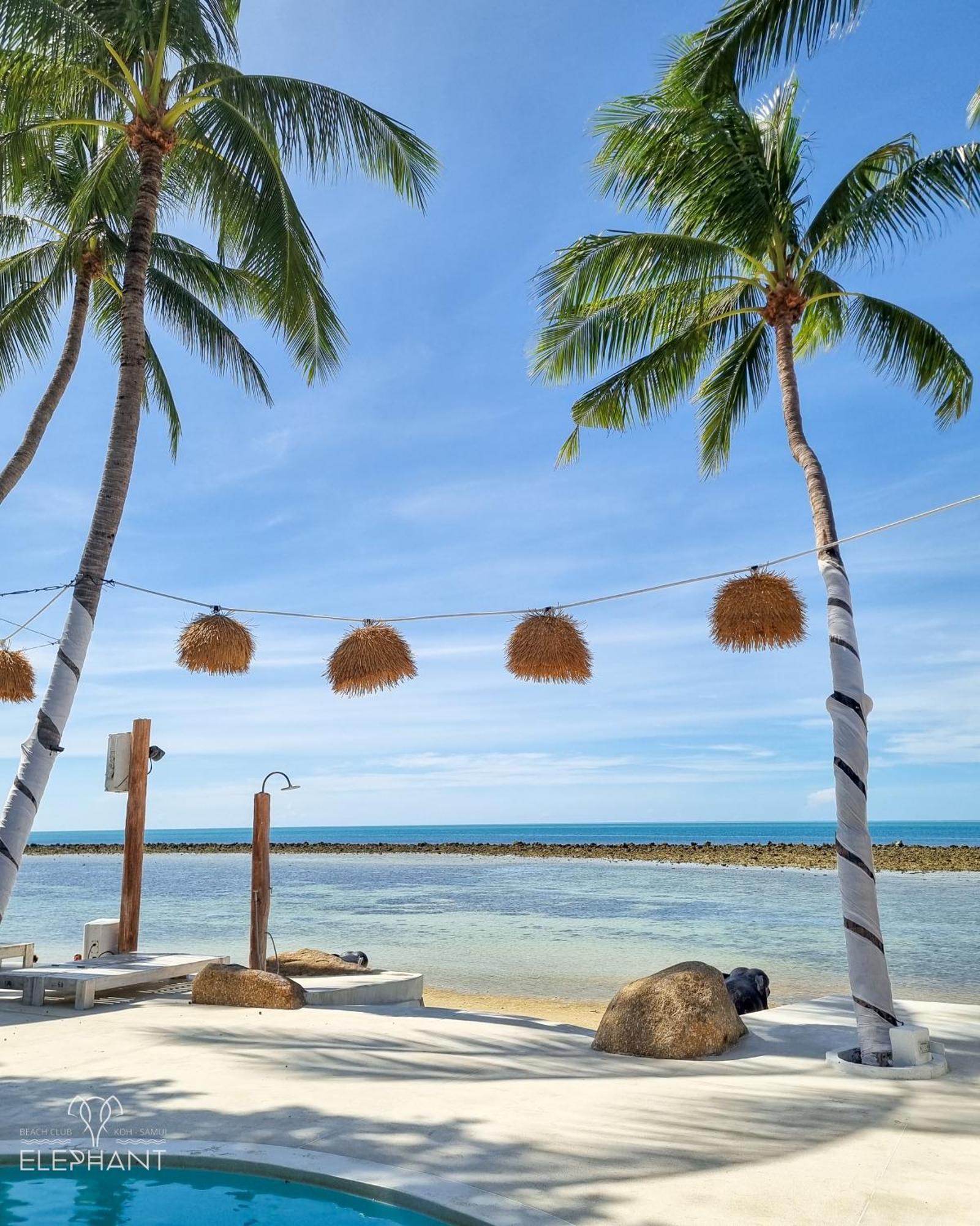 Elephant Beach Club & Resort Samui пляж Чавенг Екстер'єр фото